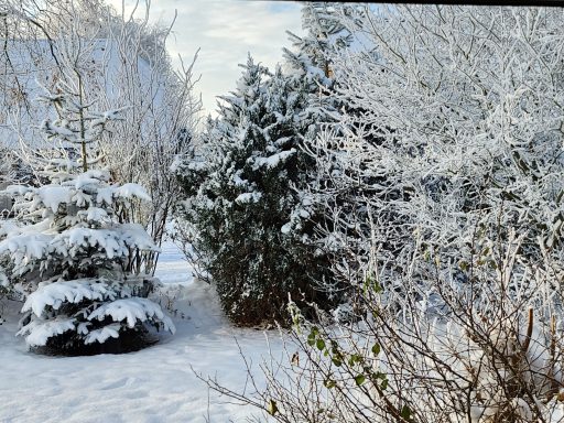 15 cm Schnee