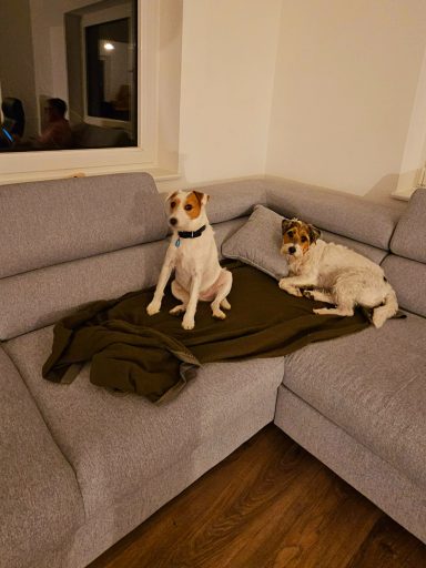 Die Couch steht an ihrem Platz: Die ersten Bewohner ziehen ein.