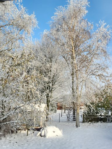 "Wintergarten"