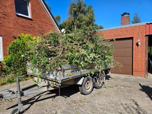 Abtransport erster Grünschnitt (5 m³)