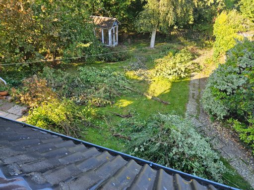 Blick aus dem OG in den Garten mit Grünschnitt